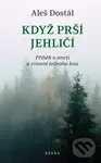 Když prší jehličí - Aleš Dostál