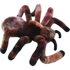 Pavúk vtáčkar 30 cm