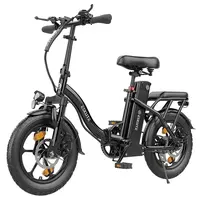 ESKUTE D100 Folding Electric Bike 250W 36V 13Ah Black