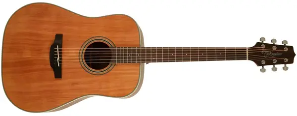 Takamine GD20-NS