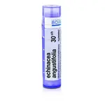 Echinacea angustifolia 30CH granule 1x4g