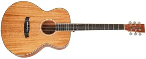 Tanglewood TUN3
