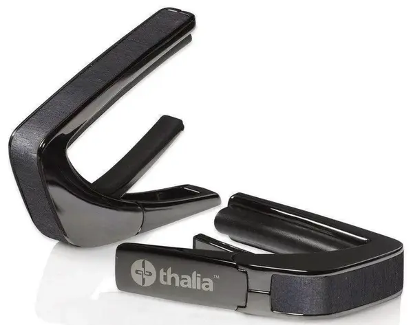 Thalia Shell Collection Ebony Inked Black Chrome