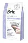 Brit Vd Cat Gf Gastrointestinal 2kg