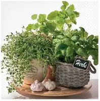 Ubrousek P 33x33 celorok SDL874000