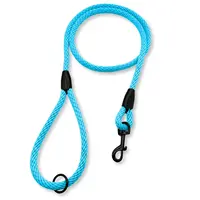 PafDog Klasické vodítko s poutkem na ruku, 10mm, světle tyrkysové PAF-912