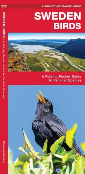 Sweden Birds - James Kavanagh