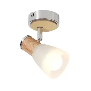 Luster Robin 1  AS-ROE141NW LS1