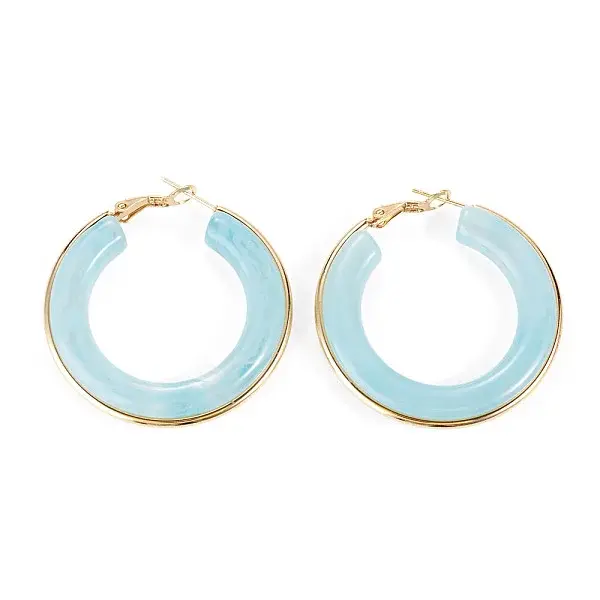 1 Pair 304 Stainless Steel Hoop Earrings