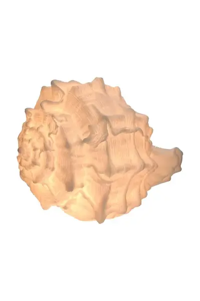 Stolní lampa home & lifestyle bílá barva