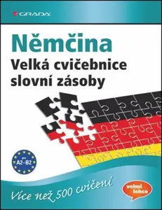 Němčina Velká cvičebnice slovní zásoby - Marion Techmer, Dr. Lilli Marlen Brill