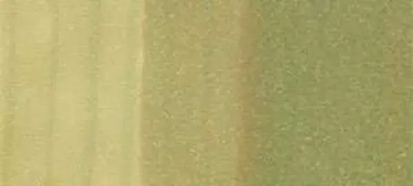 Copic sketch marker - YG93 grayish yellow