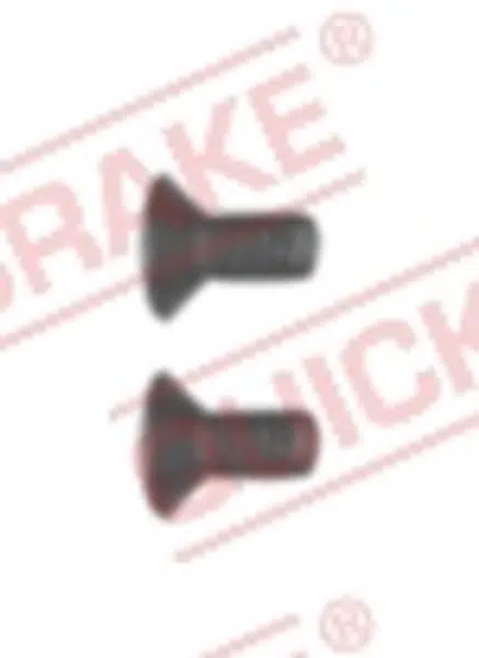 Šroub QUICK BRAKE M8x1.25, na brzdové kotouče, 2 ks
