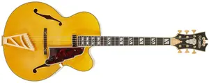 D'Angelico Excel EXL-1 Amber
