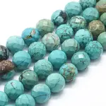 Natural Magnesite Beads Strands