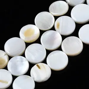 Natural Freshwater Shell Beads Strands