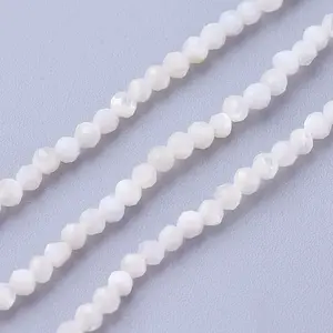 Shell Beads Strands