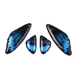 Transparent Resin Wing Earrings Pendants