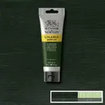 Akrylová barva Galeria 120ml – 311 hooker's green
