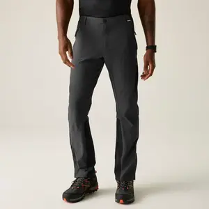 Pánské kalhoty regatta mountain šedá/černá m