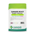 LINDENS Health + Nutrition Zázvor 500 mg, 90 tabliet