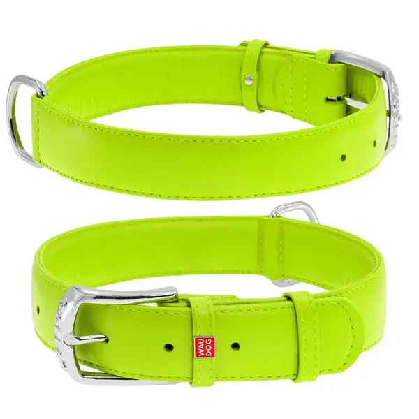 Plochý kožený obojok zelenej farby, Obvod krku: 18-21 cm, širka: 9 mm