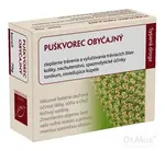 HANUS PUŠKVOREC OBYČAJNY KOREŇ