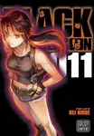 Black Lagoon, Vol. 11 - Rei Hiroe