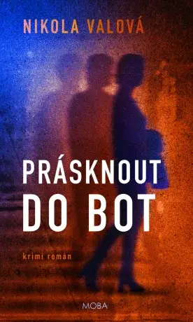 Prásknout do bot  - Nikola Valová - e-kniha