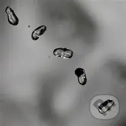 Peter Gabriel: Up LP (2 LP) - Peter Gabriel,Peter Gabriel: Up LP (2 LP) - Peter Gabriel