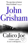 Calico Joe - John Grisham - kniha z kategorie Společenská beletrie
