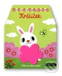 Hra na schovávanou - Králíček - Yu-Hsuan Huang - kniha z kategorie Pohádky
