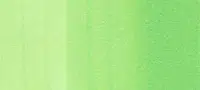Copic sketch marker - YG06 yellowish green