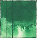 Akvarelová barva QoR 11ml – 385 Permanent Green Light