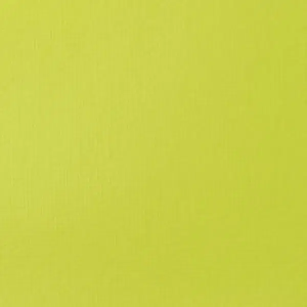 Akrylová barva Basics 22ml – 840 brilliant yellow green