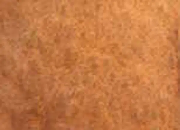 Akvarelová barva DS 15ml – 176 Eco-Friendly Yellow Iron Oxide