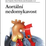 Aortální nedomykavost