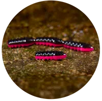 Redbass gumová nástraha trout grub black/signal pink uv color - 3x25 mm