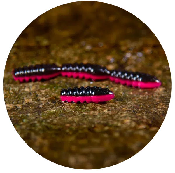 Redbass gumová nástraha trout grub black/signal pink uv color - 3x25 mm
