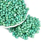 Picasso Glass Seed Beads