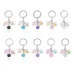 Alloy Enamel & Acrylic Keychain