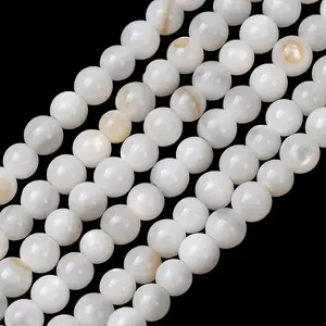 Natural Freshwater Shell Beads Strands