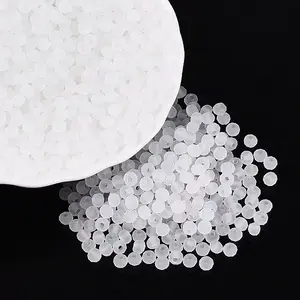 FGB Frosted Transparent Glass Seed Beads