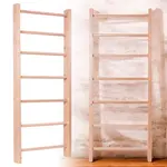 Žebřiny inSPORTline Steadyline 220x80 cm