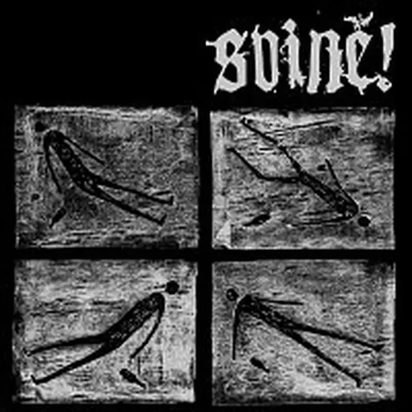 Svině!, Pivnica – Split