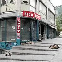 Živé kvety – Spúšť CD