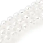 Electroplated Glass Pearl Beads Strands
