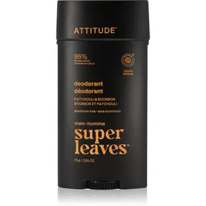 Attitude Super Leaves Men Deodorant deodorant pro muže 75 g