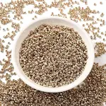 12/0 Electroplate Glass Seed Beads