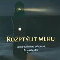 Rozptýlit mlhu - Věcné úvahy nad exhortací Amoris laetitia - Petr Dvořák, Vojtěch Šimek, Lukáš Novák, Marie Tejklová, Stanislav Přibyl